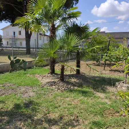 Da Francesca 스카르도바리