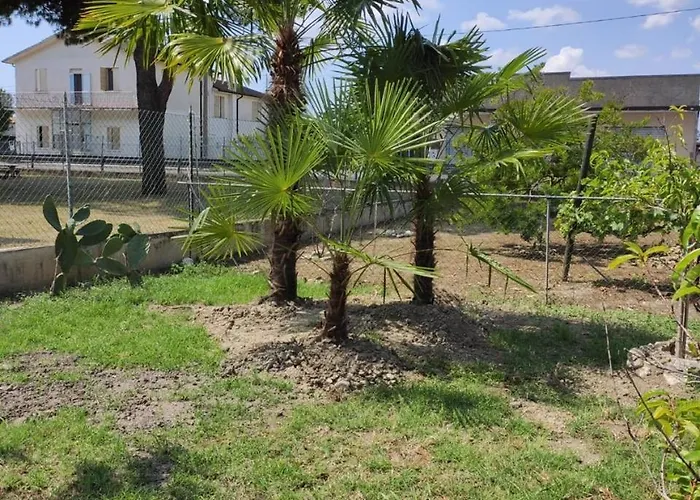 Da Francesca Scardovari